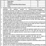 Punjab Human Capital Investment Project (PHCIP)