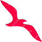 Air Arabia