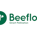 Beeflow