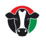 Italian Dairy Products